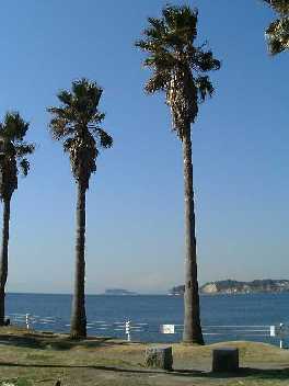 6�b�����ɕς��܂�